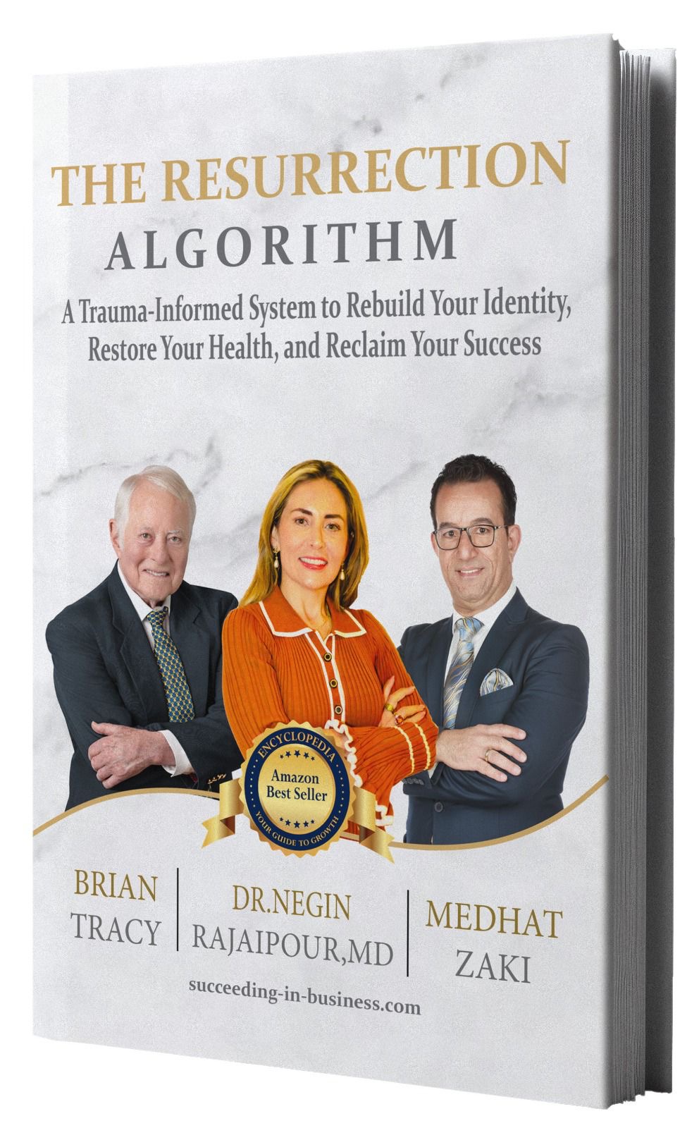 The Resurrection Algorithm Book Cover